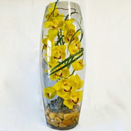 Cymbidium Orchid in a Glass Vase