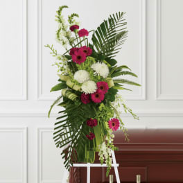 Gerberas and Palms Spray