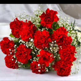 Bouquet of red carnations with white baby's breath