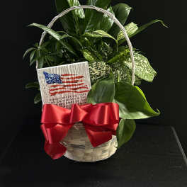 Basket of green houseplants with a red ribbon and memorial card