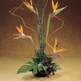 Tall tropical flower arrangement with orange bird-of-paradise blooms