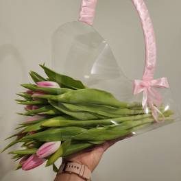 Pink tulips in a clear gift bag with a pink ribbon handle