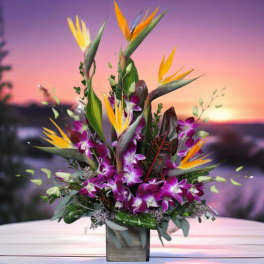 Tropical bouquet with purple orchids and bird of paradise in a square vase