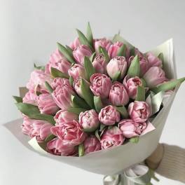 Bouquet of pink tulips wrapped in pale paper