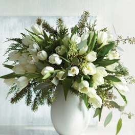 White tulips arranged in a white vase with evergreen foliage