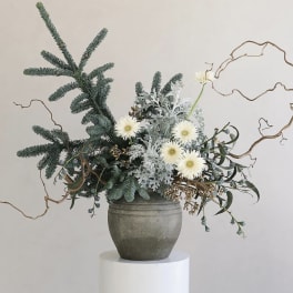 White daisy-like flowers in a gray vase with evergreen branches