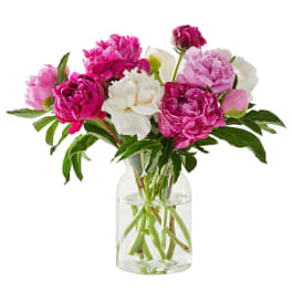 Pink and white peonies arranged in a clear glass vase