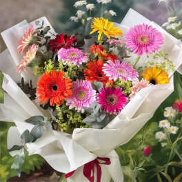 Bouquet of colorful gerbera daisies wrapped in white paper