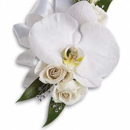 White orchid corsage with cream roses and silver ribbon
