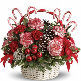 Basket arrangement with red and white carnations, candy canes, and pinecones