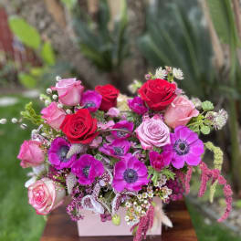 Pink and red rose bouquet with magenta anemones in a pale box