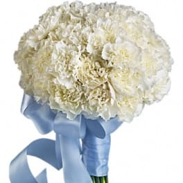 White carnation bouquet tied with a blue satin ribbon