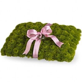 Green floral pillow tied with a pink ribbon