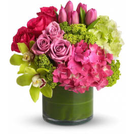 Compact arrangement of pink roses, tulips, hydrangeas and green orchids in a clear cylinder vase