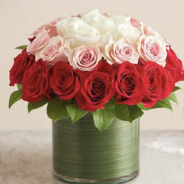 Red and white roses arranged in a glass vase
