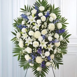 BLUE & WHITE SYMPATHY