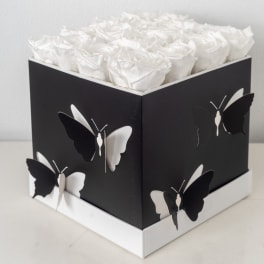 Square black box with white roses on top and black-and-white butterfly decorations on the sides
