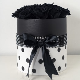 Polka Dots Roses