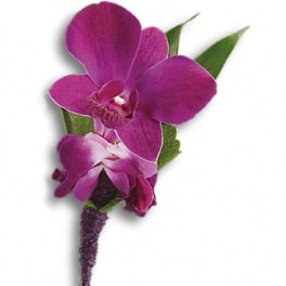 Purple orchid boutonniere with green leaves