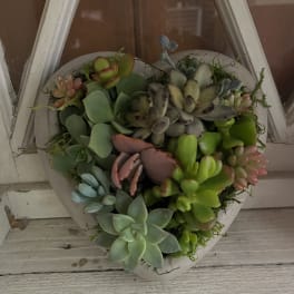 Heart-shaped succulent arrangement in a white container