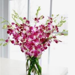 Pink orchids arranged in a clear glass vase