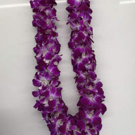 Purple orchid lei on a white background