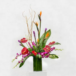 Tropical bouquet with red anthuriums and purple orchids in a tall glass vase
