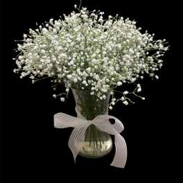 Baby's Breath Arrangement
