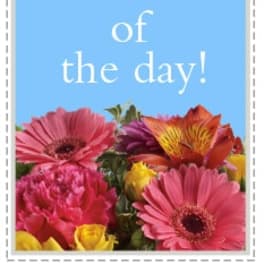 Blue card with flowers and the words "deal of the day!"