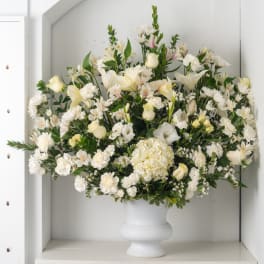 White Dream arrangement
