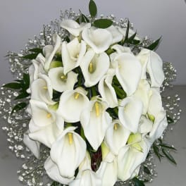 Bouquet of white calla lilies with baby's breath and greenery