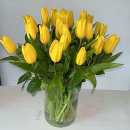 Yellow tulips arranged in a clear glass vase
