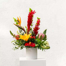 Tropical flower arrangement in a white cylindrical vase