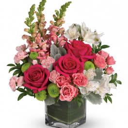 Pink roses and white alstroemeria in a square glass vase