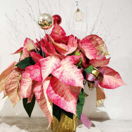 Poinsettia arrangement with silver branches and red ornaments in a gold container