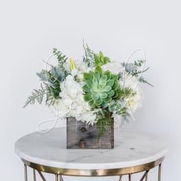 White floral arrangement with a green succulent in a wooden box