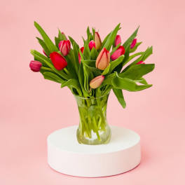 Mom Special Vase of Tulips