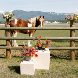 Colorful mixed flower arrangements in vases by a wooden fence with a brown and white horse in a field.