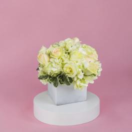 Pale yellow roses arranged in a square white vase