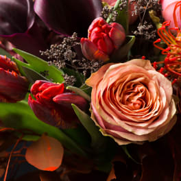 Bouquet with peach rose and red tulips on a dark background