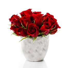 Red roses arranged in a white ceramic vase