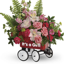Pink roses and other pink flowers in a red 'It's a Girl!' keepsake wagon with fern fronds.