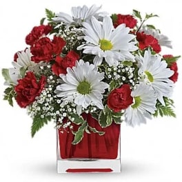 Red carnations and white daisies in a clear square vase