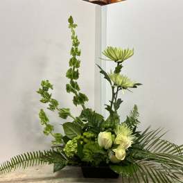 Green floral arrangement with white roses and tall spider mums in a black container