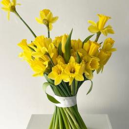 Daffodil & Tulips Bouquet