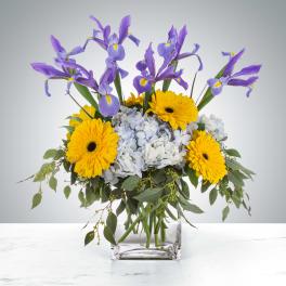 Bouquet of purple irises, yellow gerbera daisies, and pale hydrangeas in a glass vase