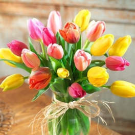 Tenderly Tulips- 20 stems- assorted colors