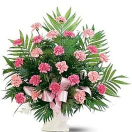 Pink carnations arranged in a white vase with a pink ribbon