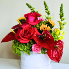 Compact arrangement of red roses and anthuriums with mixed bright blooms in a white round container