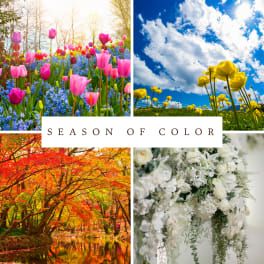 Collage of seasonal scenes with tulip and yellow flower fields, autumn trees, and a white rose arrangement